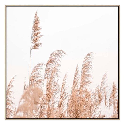 Windsoft